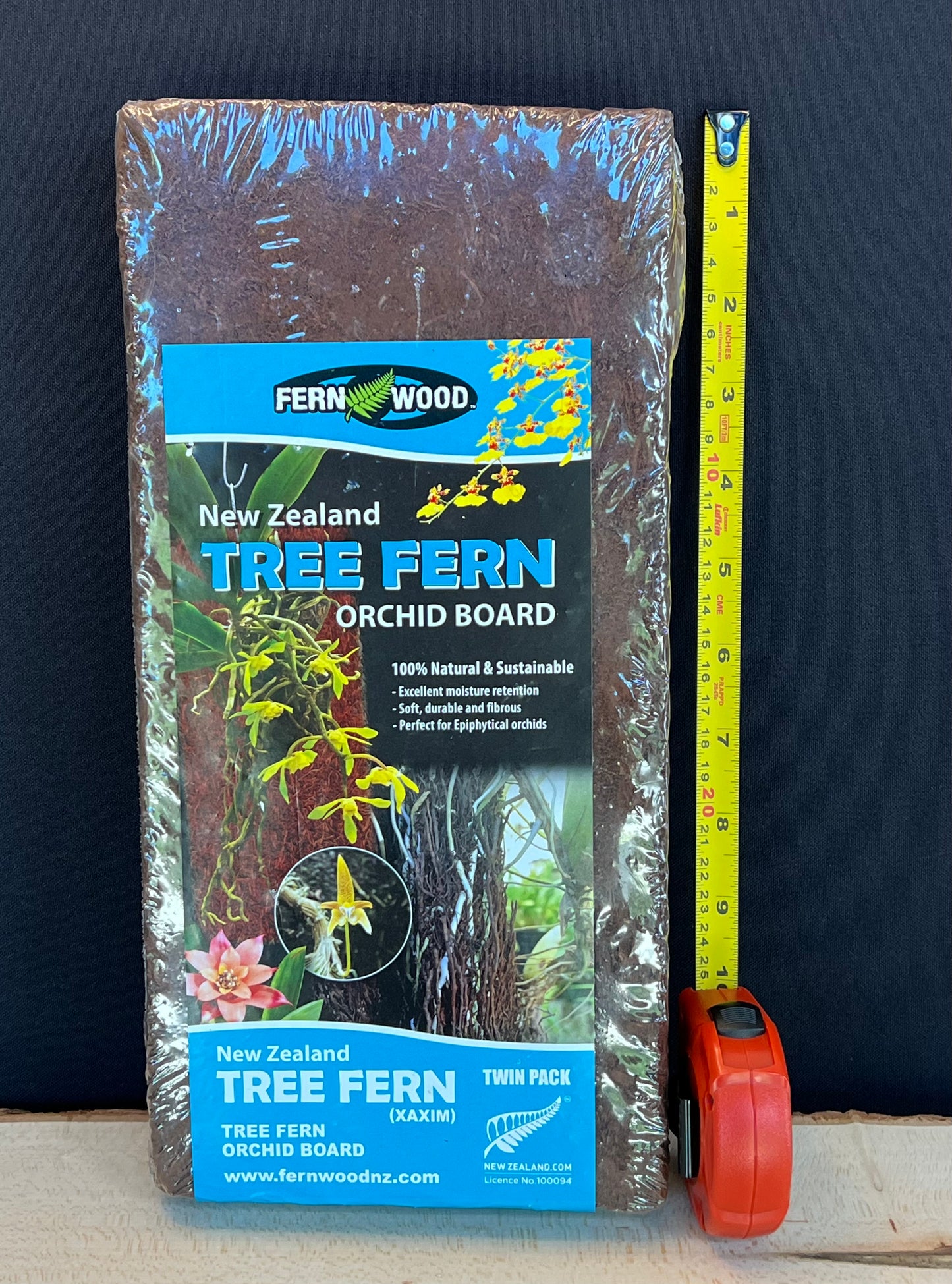 New Zealand Tree Fern - Twin Pack